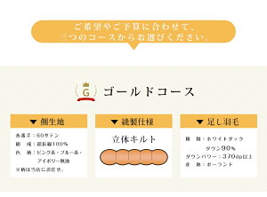 11/250%N[| Hѕzc tH[ Hѕzc ł Hѕzc VO Ȑn100 HѕzctH[ Hѕzcł Hѕzc NjO HѕzctbV Hёł