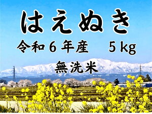 @͂ʂ  5kg ߘa6NY  R`  쐼Y @ӂ̂Ăł@@B