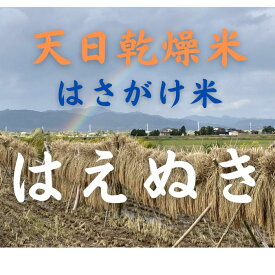 天日乾燥米 はさがけ米 はえぬき 無洗米 800g 山形 おきたま 川西産 希少品 美味　お試し用にいかがですか　令和5年産米　5合分、約おにぎり10個分