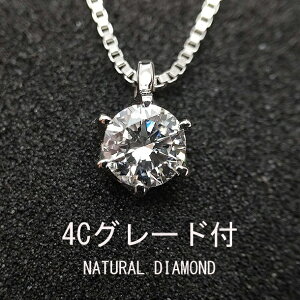 _Ch lbNX ꗱ v`i 0.2 Ό\[eBO xl`A 45cm  ꗱ_C lbNX v` Vv ꗱ_Chy_g _Chlb