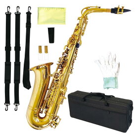 アルトサックス 初心者 11点セット E Saxophone ゴールドラッカー ケース付き 彫刻入り 初心者入門セット 日本語説明書付