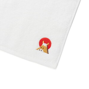 y50`99@550~450~/zN^I ^I tFCX^I Zl x ei 2026 ^I { tFCX^I ܔN ߔN