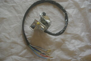 z_CT110-P UBn^[JuI[XgAAodlECJ[XCb`Assyz_p[c