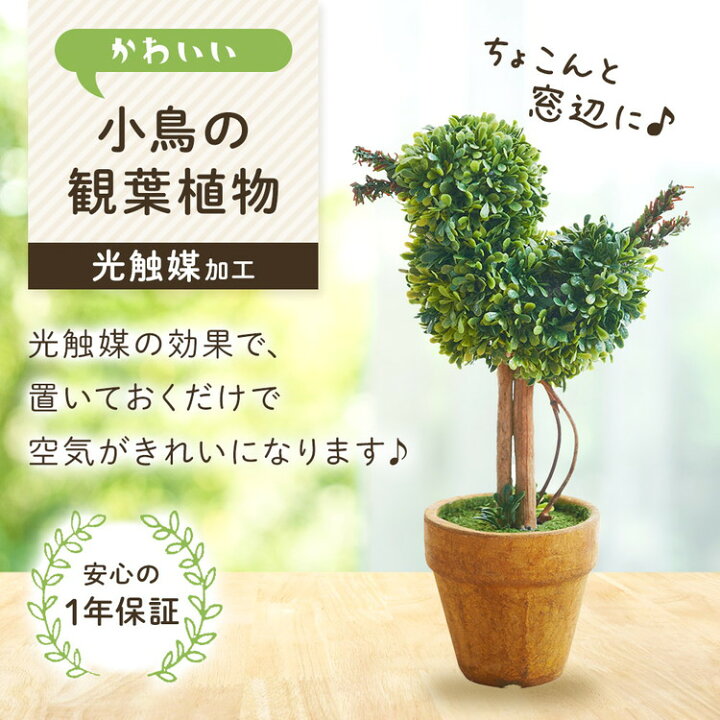 楽天市場 観葉植物 光触媒 キレイな空気を実感 人工 フェイクグリーン ミニ卓上インテリア 消臭効果 小鳥 フェイクグリーン小鳥 Tm D 042 郵便ポストのカバポスト