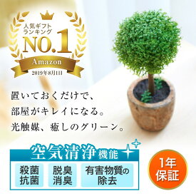 【期間限定P10倍25日23:59迄】光触媒植物 フェイクグリーン 光触媒 トピアリー ボール お世話のいらない 癒しの グリーン 観葉植物 インテリア 人工観葉植物 / トピアリーボール TM-H-010B