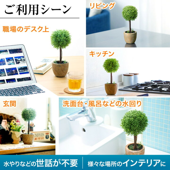 楽天市場 光触媒植物 フェイクグリーン 光触媒 トピアリー ボール お世話のいらない 癒しの グリーン 観葉植物 インテリア 人工観葉植物 トピアリーボール Tm H 010b 郵便ポストのカバポスト