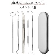 【6点セット】歯石取り 自宅用 ステンレス製 歯垢 先極細 口腔清潔 プロ仕様 歯石とり 口腔ケア器具 ヤニ…