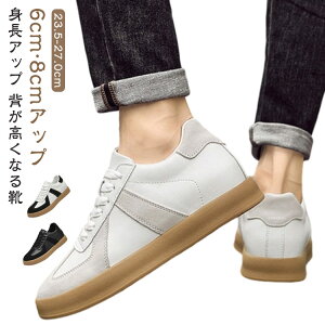 V[NbgV[Y 6cmAbv  [XAbv 8cm [Jbg wȂC Y JWA gAbv Xj[J[ Ȃ  Cq[Xj[J[ C V[NbgXj[J