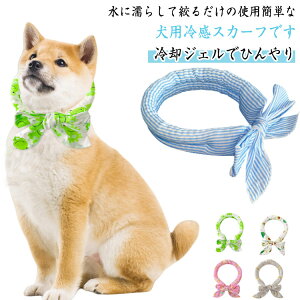 MǑ΍ lbNN[[   p Ԏ O ΍ ACXlbN 4Zbg XJ[t Ђ  킢 p ۗ  ⊴ p WF 4Zbg ^ 