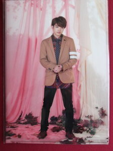 �V�i ������� �Ȃɂ�j�q �N���A�t�@�C�� Fall in LOVE�`�H�ɊփW���ɗ������Ⴂ�Ȃ�` �� �O�b�Y