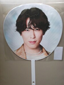 Vi {ڗ W{ Snow Man Dome Tour 2024 RAYS  SnowMan Xm[} ObY