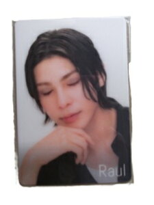 �V�i ���E�[�� �`�����J�[�h Snow Man 1st Stadium Live Snow World �� Snow Man SnowMan �X�m�[�}�� �O�b�Y