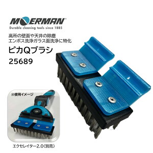 MOERMAN A} ҂QuV i1j uV |  ǖ V o G{X KXʐ XeX SUS 25689 JI Z[