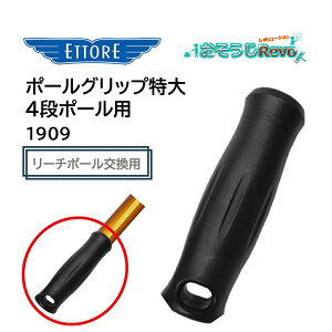 ETTORE Gg |[Obv  4i|[p i1j [`|[ p i p[c 1909 JI Z[