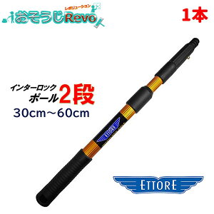 ETTORE Gg C^[bN|[ 2i 30cm-60cm i1{j ṽKX| Ɨp|[ KX|p {̂PĐLk 42003 JI Z[