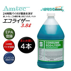 Xp^ Amtec AebN GRCU[ 3.8L i4{j L L oCI NITEF EPAo^܂Ƃߔi1{7770~j JI Z[