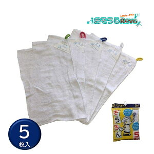  5 i1Pj ƒp wZp 100 @| J[Rt @ @ TCY20×30cm JI Z[