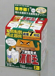 sT^Œ莮 FFT-009 1pbN 2