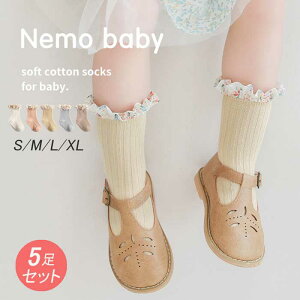 yzxr[ C xr[\bNXC nC\bNX q 5Zbg Ԃ q LbY H t qpC V \bNX j̎q ̎q w   xr[pi ۈ