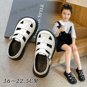 LbY T_ OJT_ q T_ j̎q ̎q r[`T_ LbYV[Y OJ ؂ xr[ C }WbNe[v tH[}V[Y w  j ct  