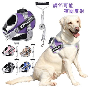  n[lX [h L n[lX[h 2_Zbg  n[lX[hZbg ^ S     p ^ UObY [ht Ȃ Ck hbO o|