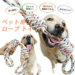 ߋ   [v [v^Cv ފߋ [vgC ybgp ނ pߋ ybg gC ߋ V XgX ^s v ϋv    킢 