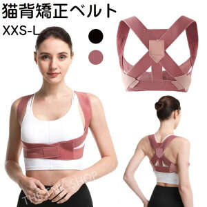 Ԍ200~N[|ILwxg Y fB[X uLw pT|[^[ pT|[^[ RZbg ]xg pxg w ʋCUQ R jp Lwxg