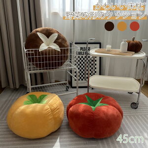 킢 ؂̌`̃NbV NGCeBu V[eBOpbh 킢ʂ z[fR[V q ̎q  Mtgp 45cm ʂ  ObY NbV 