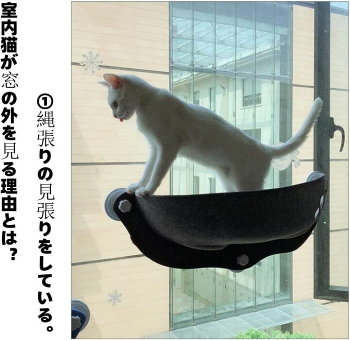 ハンモック 猫 窓 取り付け簡単 ペットベッド 耐荷重15kg 日向ぼっこ 吸盤 プレゼント