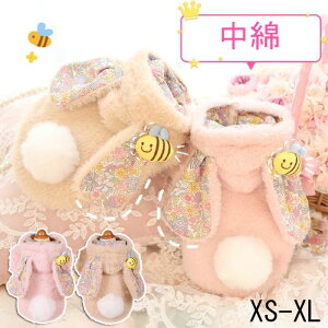 hX 킢 ybg s[X H~̕ vZXXJ[g m 킢̃p[J[ t@bV lC ^^ U ɏo NX}X ybg̕ h _