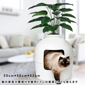 ˂ LgC ABLt[htS~gC  z[ƃrO[ SVXe LƎqLp ^LɍœK L̉Ƌ≮tLpgC̉ƋƂĂ