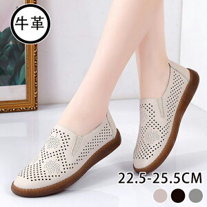 JWAV[Y fbLV[Y {v fB[X y EH[LOV[Y ₷ ₷ ɂȂ y ʋ EH[LOV[Y [t@[ pvX EhgD y