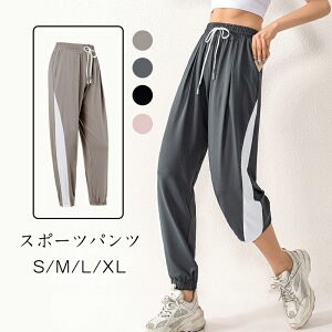 pc {gX fB[X 傫TCY X|[cpc Kpc fB[X WK[pc    Xgb` W EFA WK[ g[jOpc g[