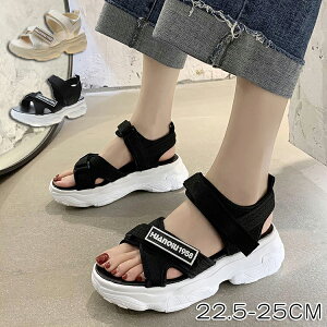 T_ fB[X  s T_ X|[cT_ r[`T_ y ʋC r bNXT_ EH[LOV[Y RtH[gT_ w Vv JWA