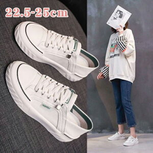 Xj[J[ fB[X  JWA [Jbg ₷ tbg  傫TCY 2 ₷ ʋC ؍ JWA ₷ fB[X jp WjA [[