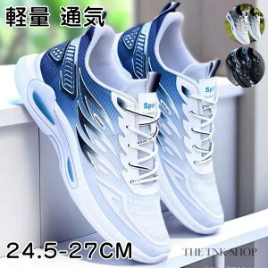 Xj[J[ Y V[Y fB[X    JWA jO X|[c ʊw ʋ 30 40 50  _炩 Ȃ gAbv lԍHw y ~ L ʋC 