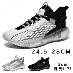 Xj[J[ jOV[Y X|[cV[Y Y e _ NbV y ʋC ₷ ϋv ~  JWAV[Y g[jO jO ʊw  E