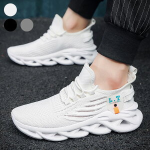 V[Y Y fB[X Xj[J[ X|[cV[Y jOV[Y ^C EH[LOV[Y C g[jO ʋC  WMO JV~A [Jbg ubN JW