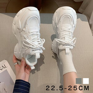Xj[J[ fB[X  Xj[J[ ʋC y ʊw d W fB[XV[Y jOV[Y _bhXj[J[  zCg [Jbg [XAbv r JWA 