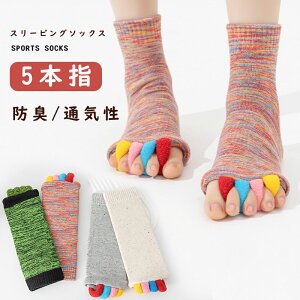 w\bNX Zs[\bNX K\bNX O ObY ނ 5{w  tbV Zp[^[ wSJZs[\bNX w܂tbVIނ݂⌌siE