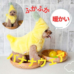   oii ̕ H~ 킢 g h Ȃ ^ ^ ~p RR ybgpi ybg L NX}X  oii hbOEFA  ybg  p ~ RX