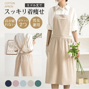 [ Gv ۈ k 卆   Ǝ Vv ̓ Mtg AWAGv JtF Xg  R F  ƒp R[q[Vbv Lb` t@bV j