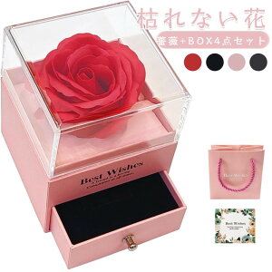 \[vt[ o  [Y{bNX Mtg  ͂Ȃ v[g a ̓ ޏ  FB ΂ fB[X LO v|[Y NX}X zCgf[ bZ[WJ