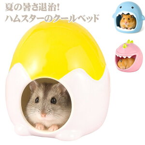 S[f nX^[ LN}  CR X ybg  nEX xbh   Q B  NbV  u[ X^[ Aj} Ђ ₽ ܂   ΍