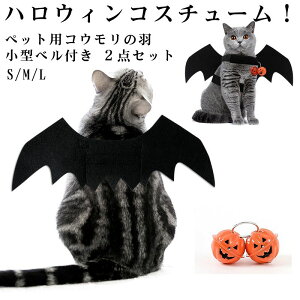 2 _Zbg ybg nEB xt   RE H ^̌p L RXv RX`[ ʐ^ Be nEBybg pRX`[ ybgpRẺH n