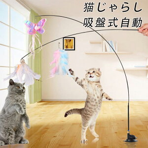 y[zL炵 zՎ ނ v~AtFU[ Lpߋ Aȓ̌Lp H_t L ̂D݂炵AL̂ቮLp qLvC`FCXGNTTCY 