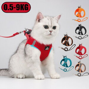 n[lX Ȃ L ^ ^ ^ EȂ Eɂ p  U [h h~  qh~ ʋC ߉\ ȒP ȒPE Jt SȂ n[