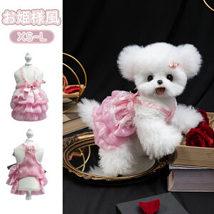   vZXhX ^ ybg Lp hbOEFA  [X hXAbv tH[} 􂦂 ʋC EȒP qΉ ʐ^f  a LO  { 