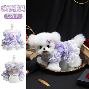  ybg  xxbgs[X s[X Lp [^ ^ e efB ViEU[ |jA vZXhX H~p h ۉ g  t GKg 