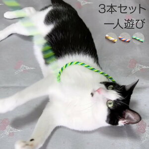 L炵 3{Zbg S ȂЂ Jt L̂ ϋv  lV  v 蕗 y pp[c Sf  qLp Lp ^s C^NeBu 